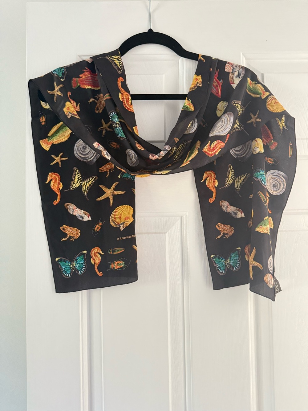 Echo silk neck scarf American museum of natural history pattern on black